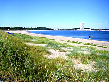 Der Priwall Strand mit Dnen und Gras an der Ostsee bei Travemnde