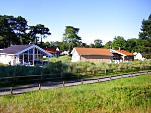 Ferienhaus auf dem Priwall an der Ostsee bei Travemnde Lbeck