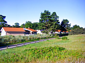 Ferienhuser Ferienwohnungen auf dem Priwall  Ostsee