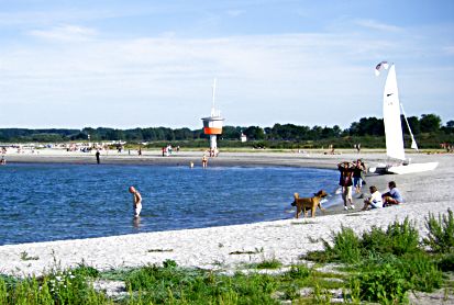 Hundestrand auf dem Priwall Travemnde an der Ostsee mit Hund